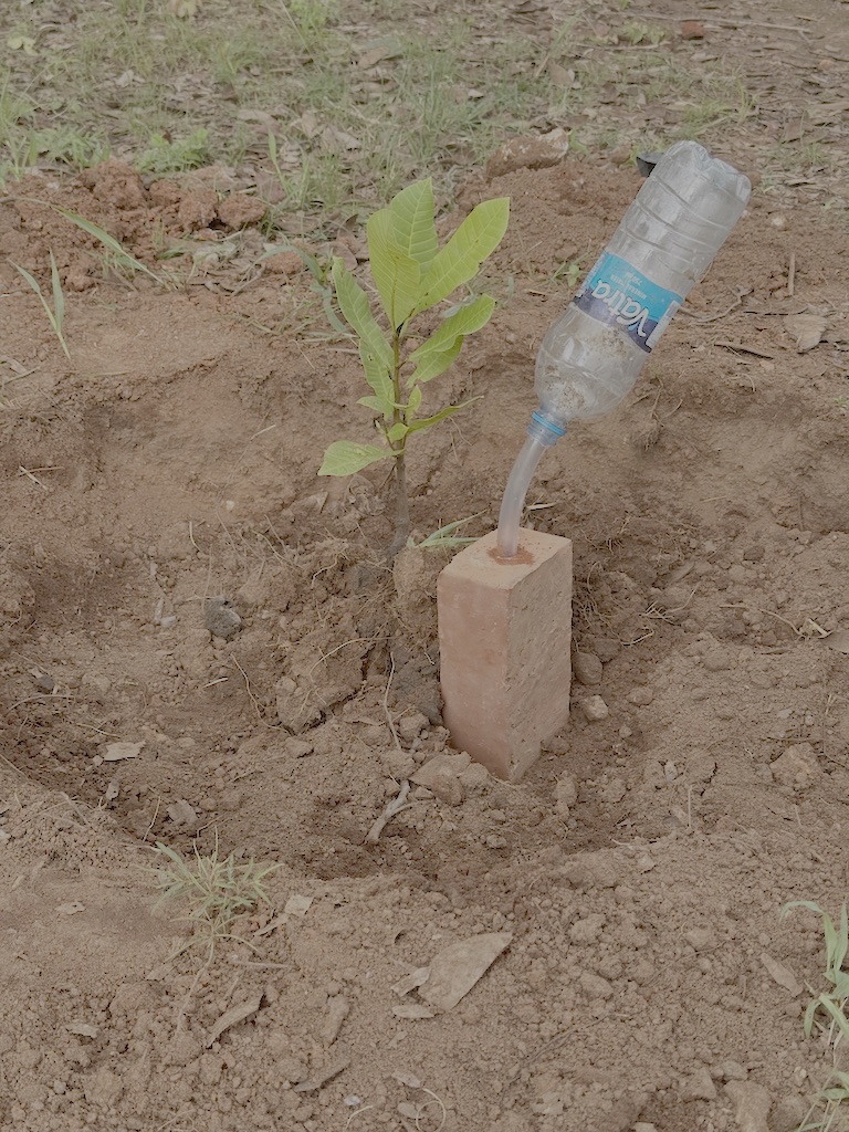 Bottle en brick irratie module. Door de capilaire actie van de steen komt het water beschikbaar voor de plant. Tegelijkertijd is er veel minder water nodig met deze iirigatie methode