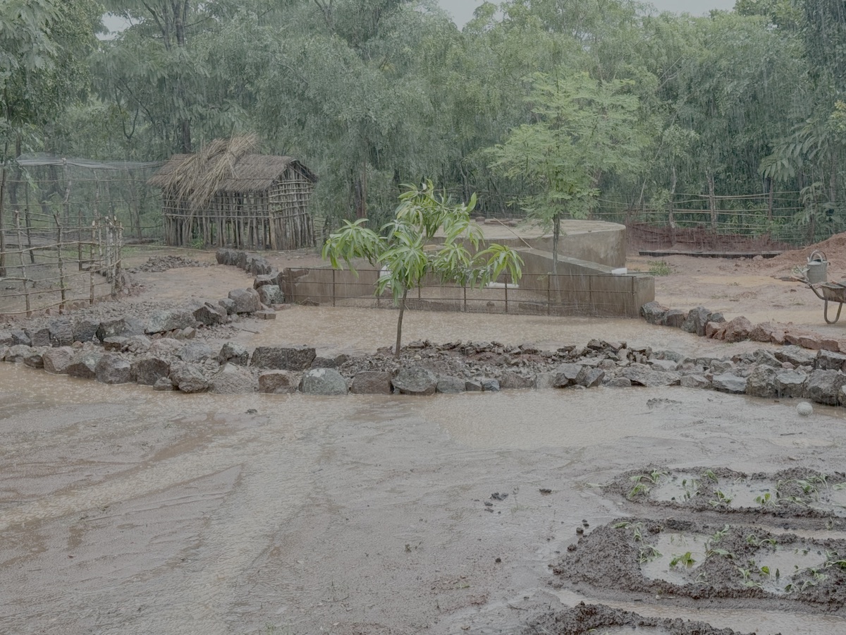 Het reservoir in onze tuin tijdens hevige regen. Nu konden we goed zien of het systeem goed werkt.